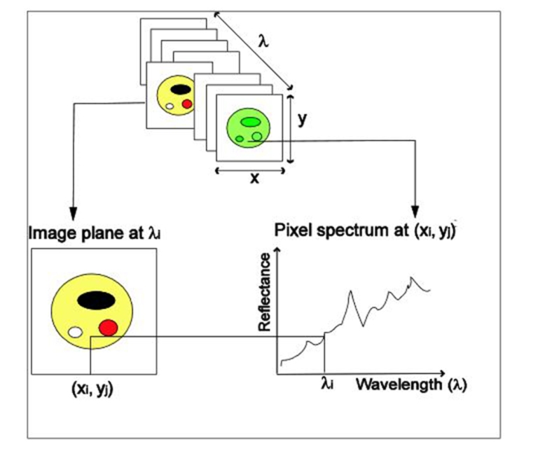 Hyperspectral Imaging for Agriculture