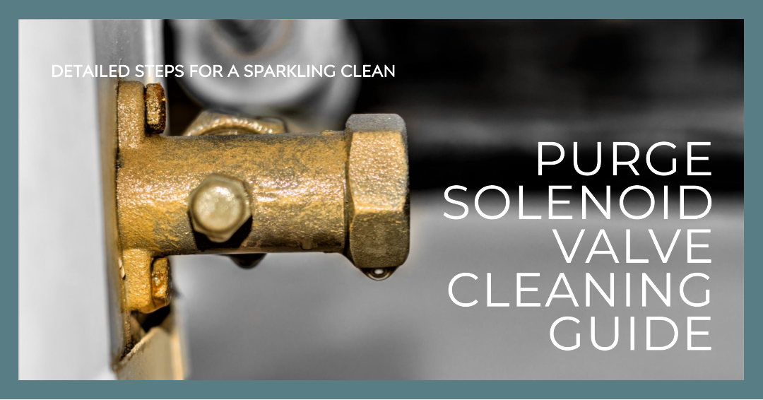 How to Clean a Purge Solenoid Valve: 2 Easy Ways